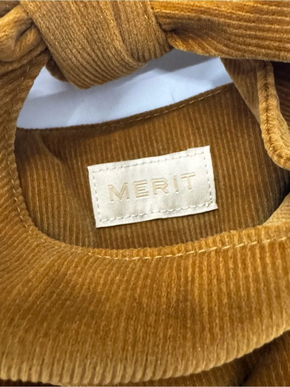 Merit Knot-Handle Corduroy Mini Bag in Brown